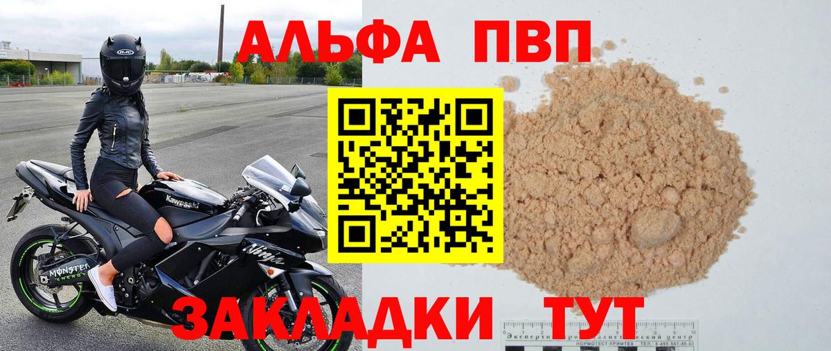 Alfa_PVP СК Сунжа