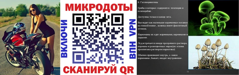 где купить   Сунжа  Псилоцибиновые грибы MAGIC MUSHROOMS 
