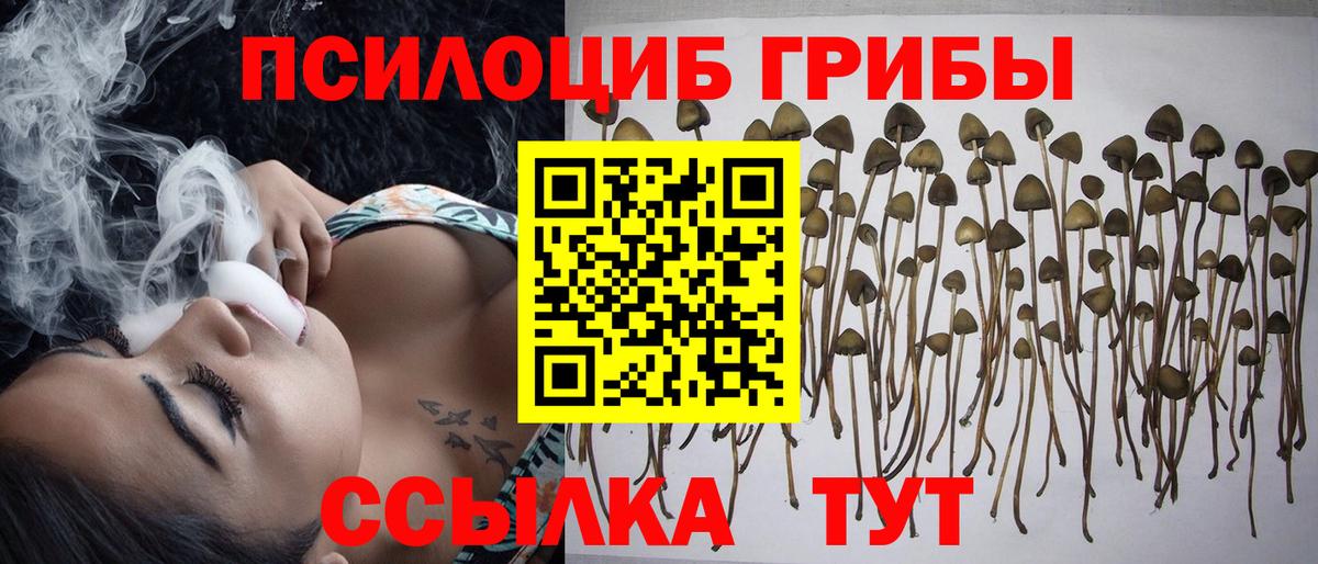 Галлюциногенные грибы Magic Shrooms Сунжа