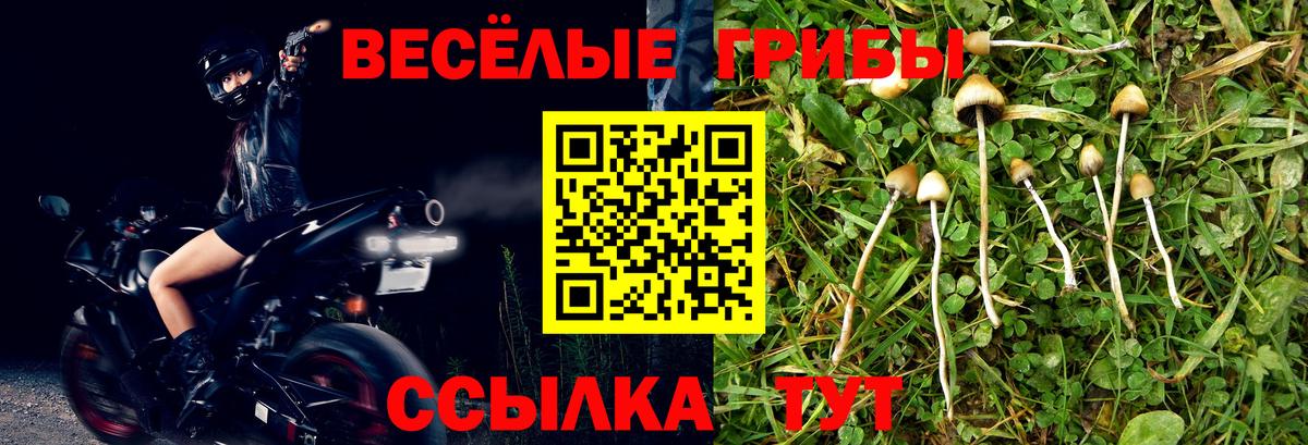 Псилоцибиновые грибы Magic Shrooms  Галлюциногенные грибы MAGIC MUSHROOMS  Сунжа  Вход с VPN 